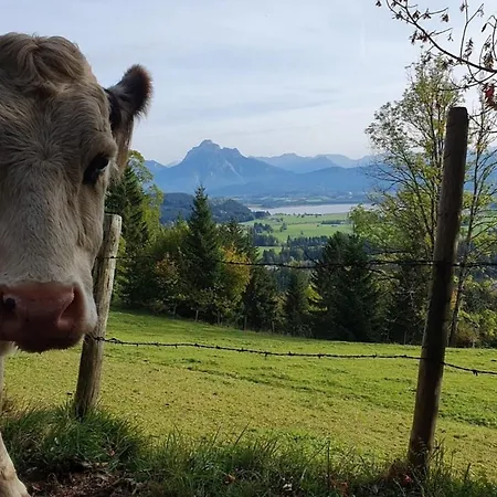 Apartmán Alpenblick 11, Erholung Pur Im Allgaeu *