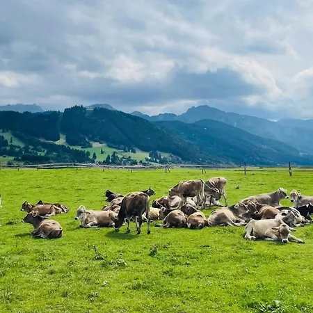 Alpenblick 11, Erholung Pur Im Allgaeu Apartmán
