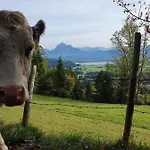 Apartament Alpenblick 11, Erholung Pur Im Allgaeu *