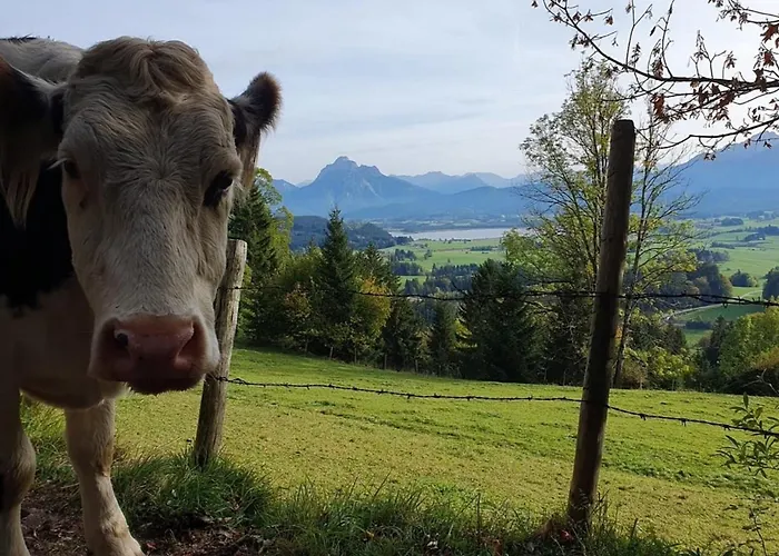 公寓 Apartment Alpenblick 11, Erholung Pur Im Allgaeu *